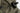 CARINTHIA G-loft Booties - OD-CARINTHIA-