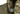 Plate carrier Invader Gear DACC Lightweight — Od