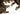 Ghillie suit Invader Gear Base Leaf Camouflage — Mimetico