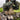 EBERLESTOCK RECON MODULAR SMALL Bino Pack - MultiCam(R) Home > All products > Airsoft equipment and guns cases > Tactical vests on airsoft and plates carriers > Tactical vests on airsoft EBERLESTOCK