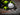 Lampada frontale FENIX WH35RE ATEX — Nero-FENIX-