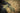 Trekker Outback Gloves - Olive Green-HELIKON-