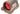 SRS 1x38 Red Dot - TAN Red Dot Aim-O