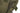 Sleeping bag Wilderness (Right Zipper) - UNI size Home > All products > Airsoft equipment and guns cases > Camping and Bushcraft > Sleeping bags, mats and sun loungers CARINTHIA