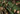 Bolero ghillie Invader Gear Sniper Bolero Leaf — Mimetico