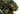 3D Ghillie – Shoulder Piece - Multicam-NOVRITSCH-