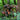 3D Ghillie – Shoulder Piece - Multicam-NOVRITSCH-