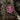 M-Tac patch Paramedic Ursus (PVC) Patch M-Tac