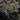 M-Patch Leopard 2 PVC Patch M-Tac