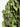 KMCS Ghillie Suit - Green Home > All products > Army clothing and shoes > Hejkals and Masking Dumpers Kicking Mustang