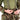 Novritsch Pants Modular 3D Ghillie Suit - Amber Mimetismo NOVRITSCH