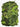 KMCS Pack Cover (Large) with 3D Leafs - Green Mimetismo Kicking Mustang