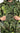 KMCS Poncho - Green Home > All products > Army clothing and shoes > Hejkals and Masking Dumpers Kicking Mustang
