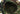 Cappello Invader Gear Leaf Boonie Hat — Woodland