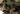 Cappello Invader Gear Leaf Boonie Hat — Woodland