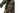 Pantaloni tattici SATAC Combat G3 — Woodland