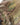 TT MODULAR HIP BAG Waist Pack - MultiCam(R)-Tasmanian Tiger-